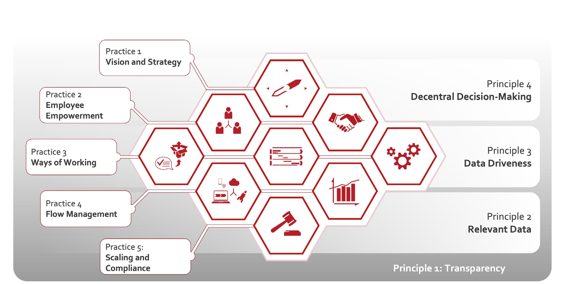 Figure 1: BeeCore — Practice 1 Vision and Strategy, Practice 2 Employee Empowerment, Practice 3 Ways of Working, Practice 4 Flow Management, Practice 5 Scaling and Compliance, arranged around Principle 1 Transparency, Principle 2 Relevant Data, Principle 3 Data Driveness, Principle 4 Decentral Decision-Making