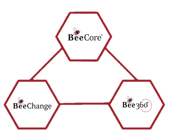 BeeCore, BeeChange, Bee360 – the holistic steering model