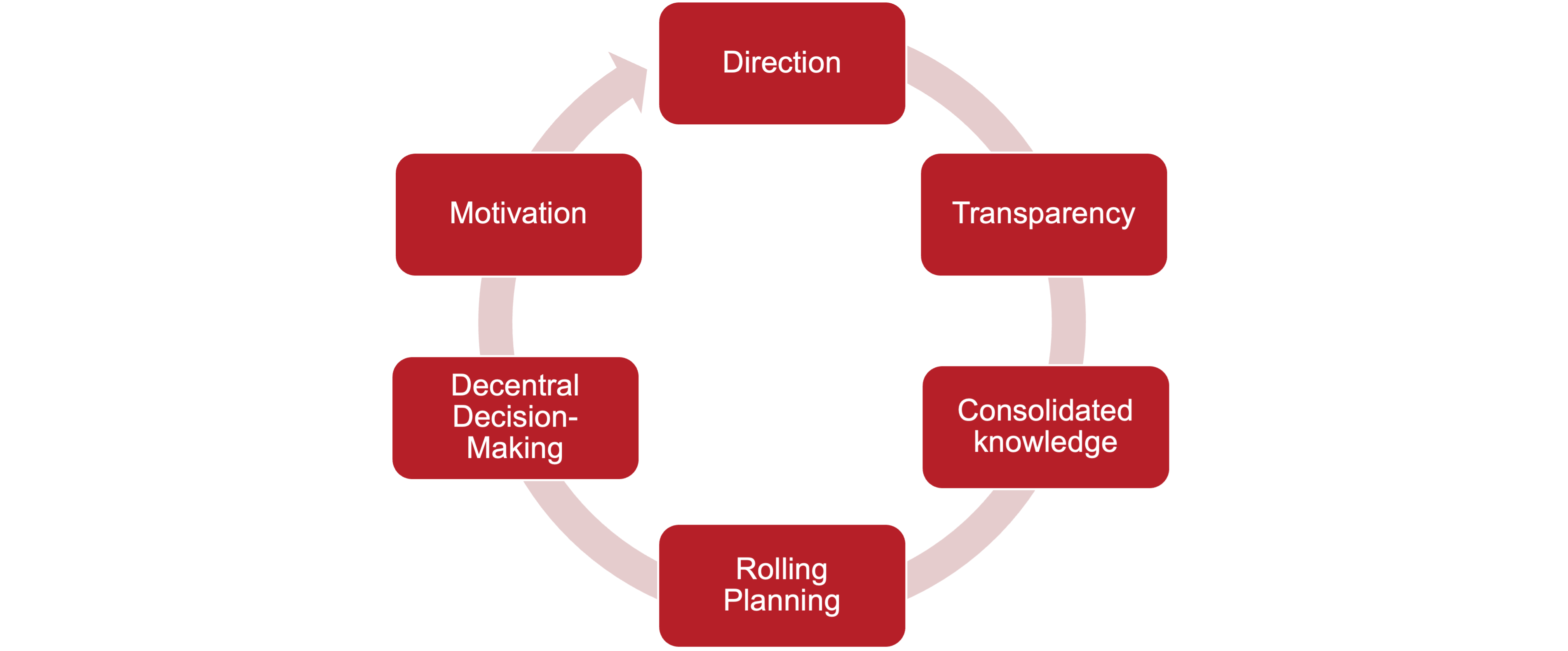 Figure 2 | The solution cycle: Direction, Transparency, Consolidated knowledge, Rolling Planning, Decentral Decision-Making, Motivation