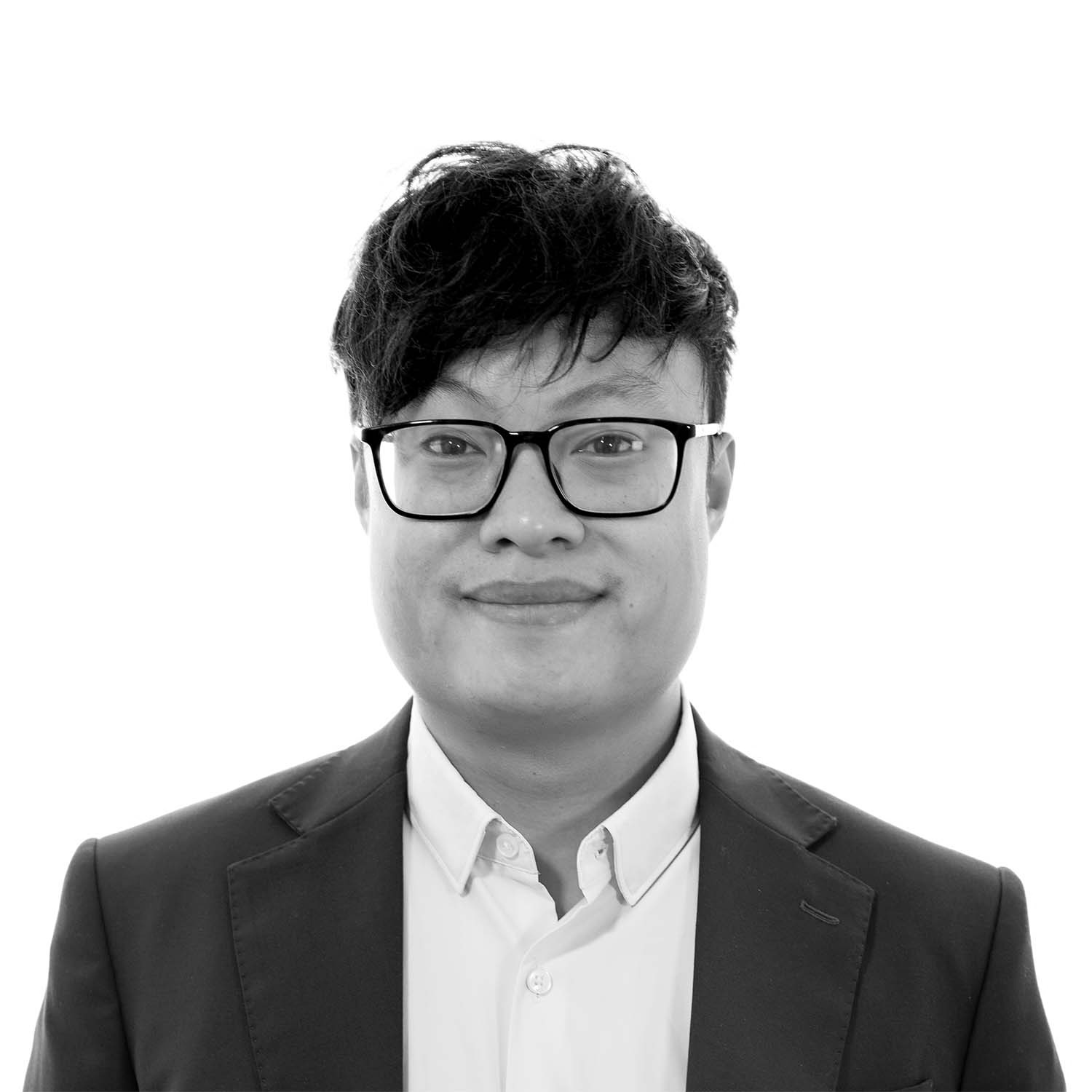 Viet Duc Le
